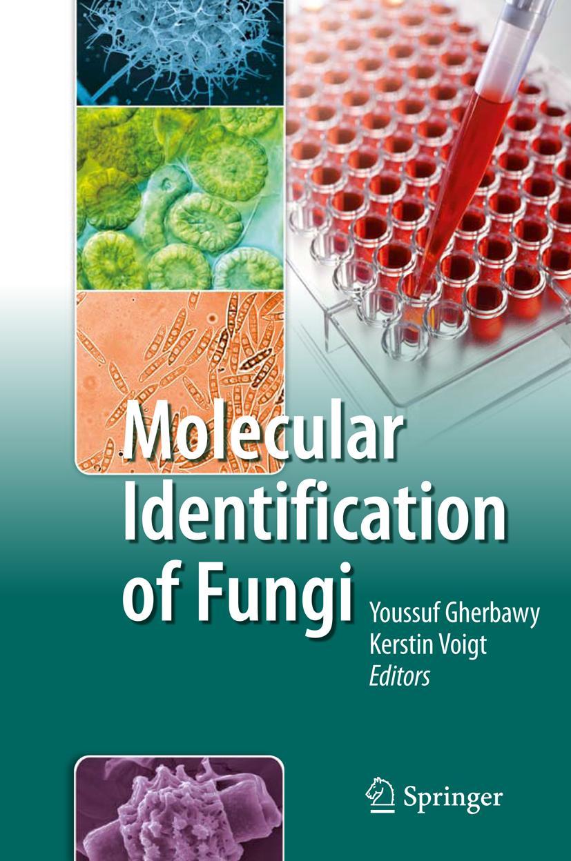 Vorderes Coverbild Molecular Identification of Fungi