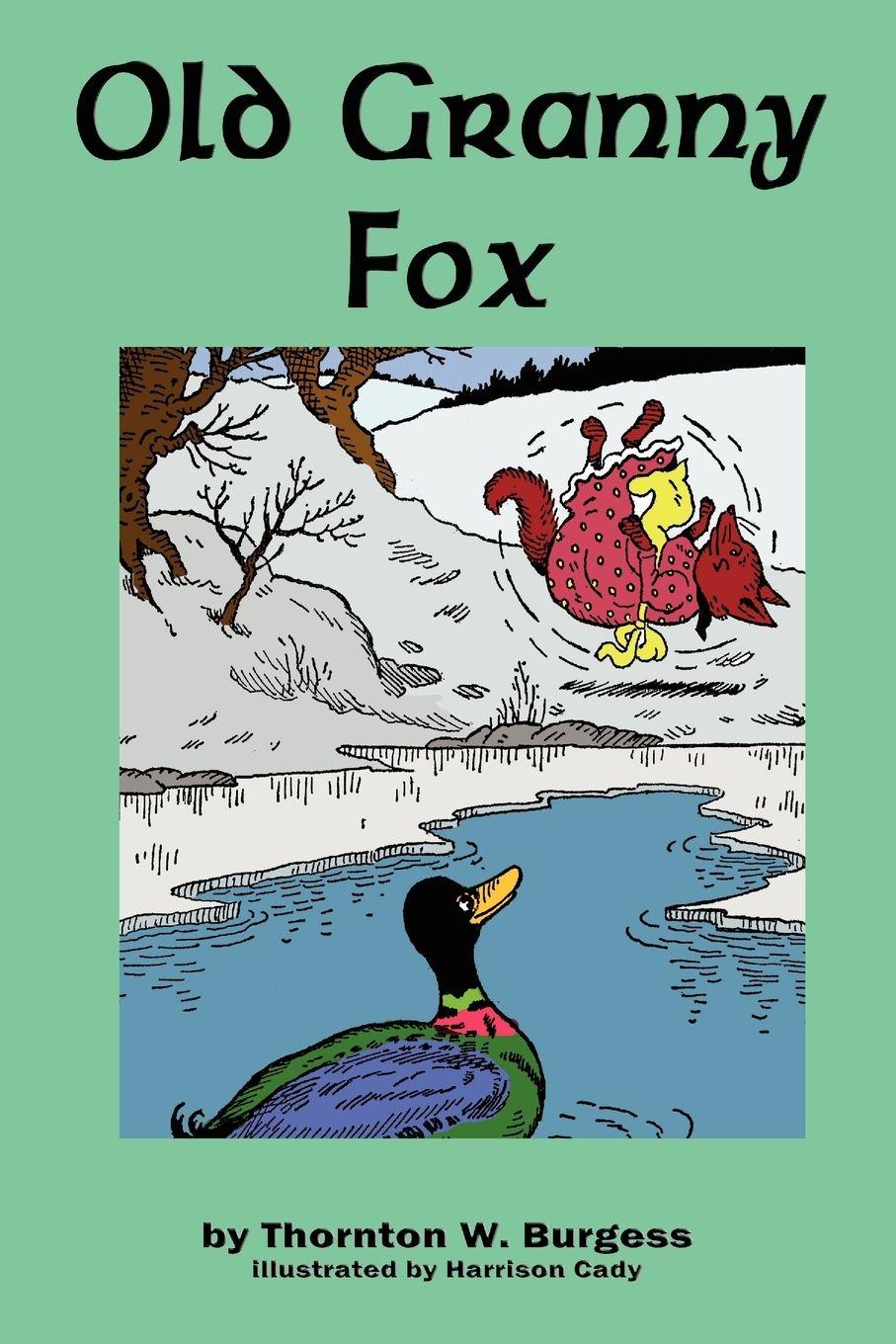 Vorderes Coverbild Old Granny Fox