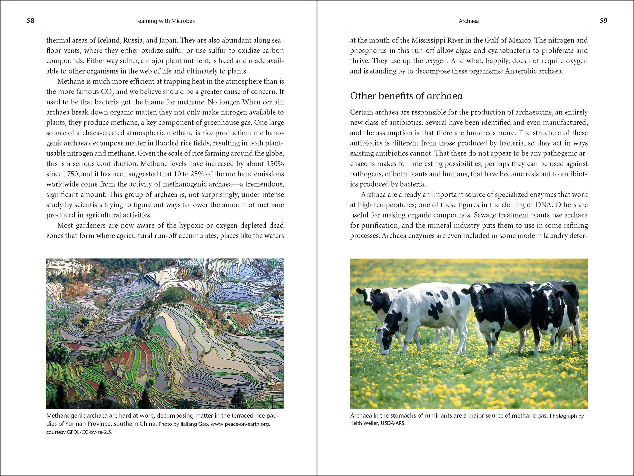 Beispielinhalt (Bild) Teaming with Microbes