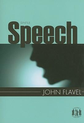 Vorderes Coverbild Sinful Speech