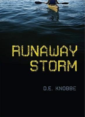 Vorderes Coverbild Runaway Storm