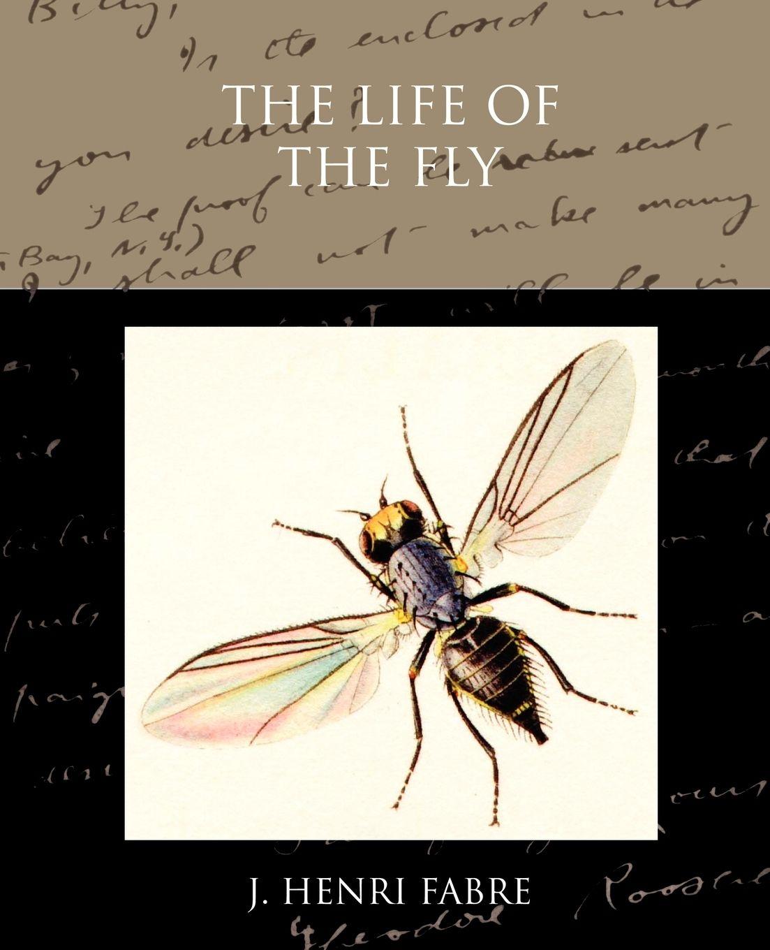 Vorderes Coverbild The Life of the Fly