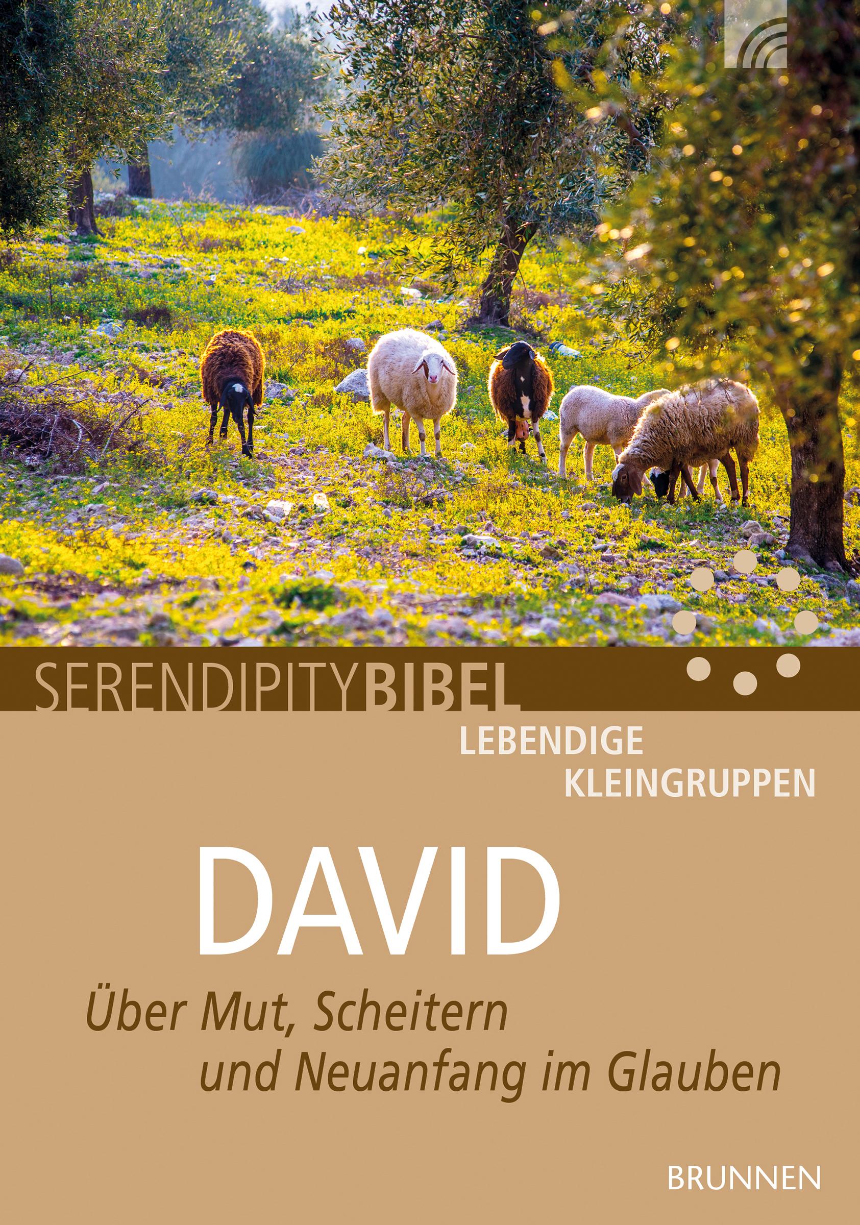 Vorderes Coverbild David