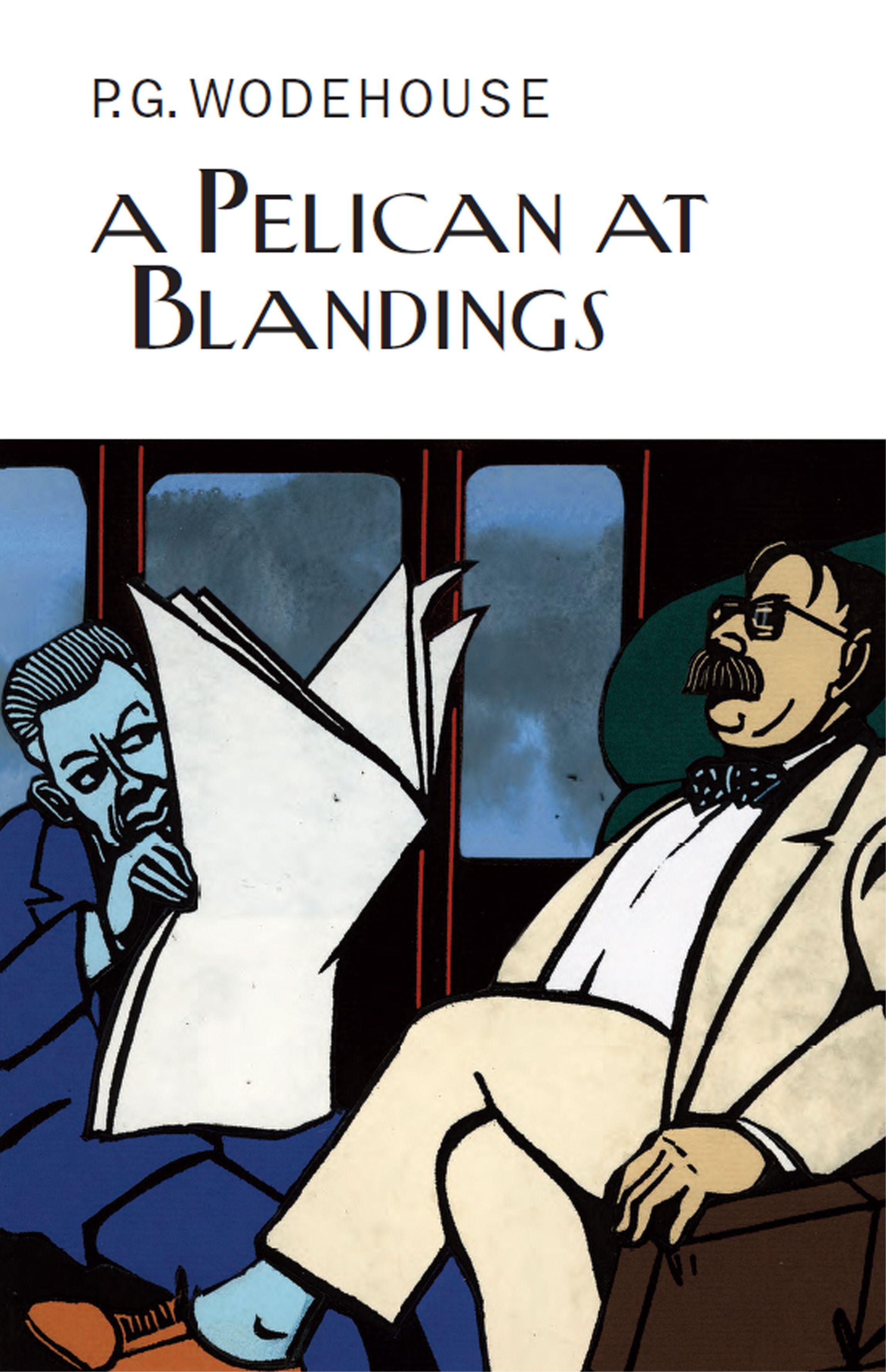 Vorderes Coverbild A Pelican at Blandings