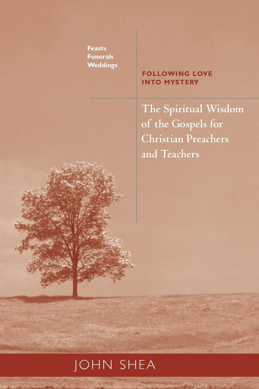 Vorderes Coverbild Spiritual Wisdom of the Gospels for Christian Preachers and Teachers