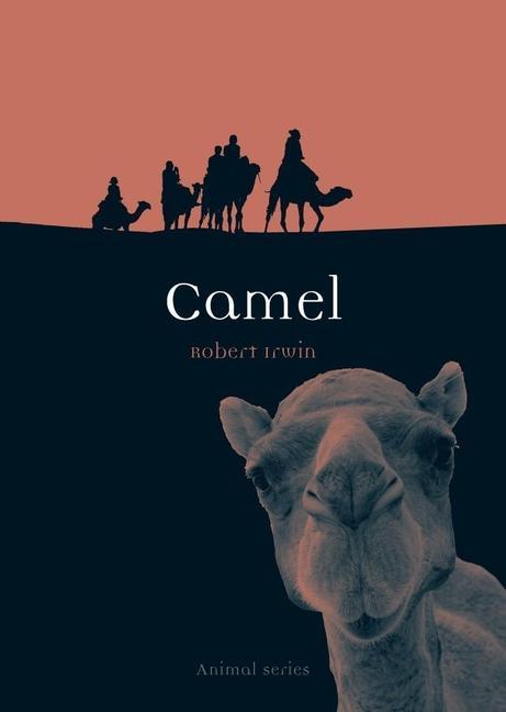 Vorderes Coverbild Camel