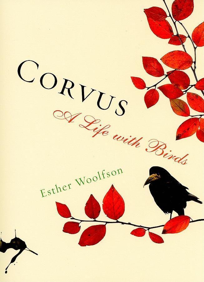 Vorderes Coverbild Corvus