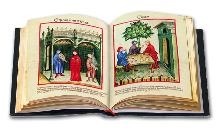 Vorderes Coverbild Tacuinum Sanitatis in Medicina