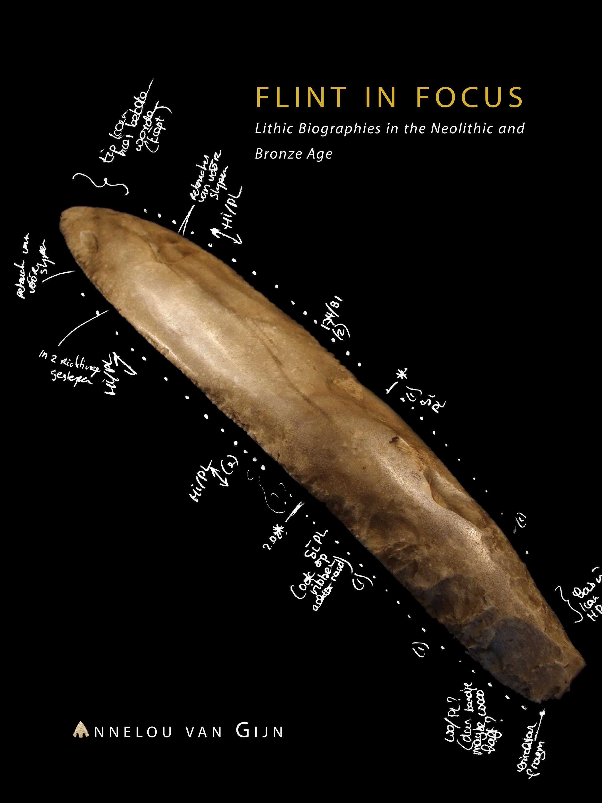 Vorderes Coverbild Flint in Focus