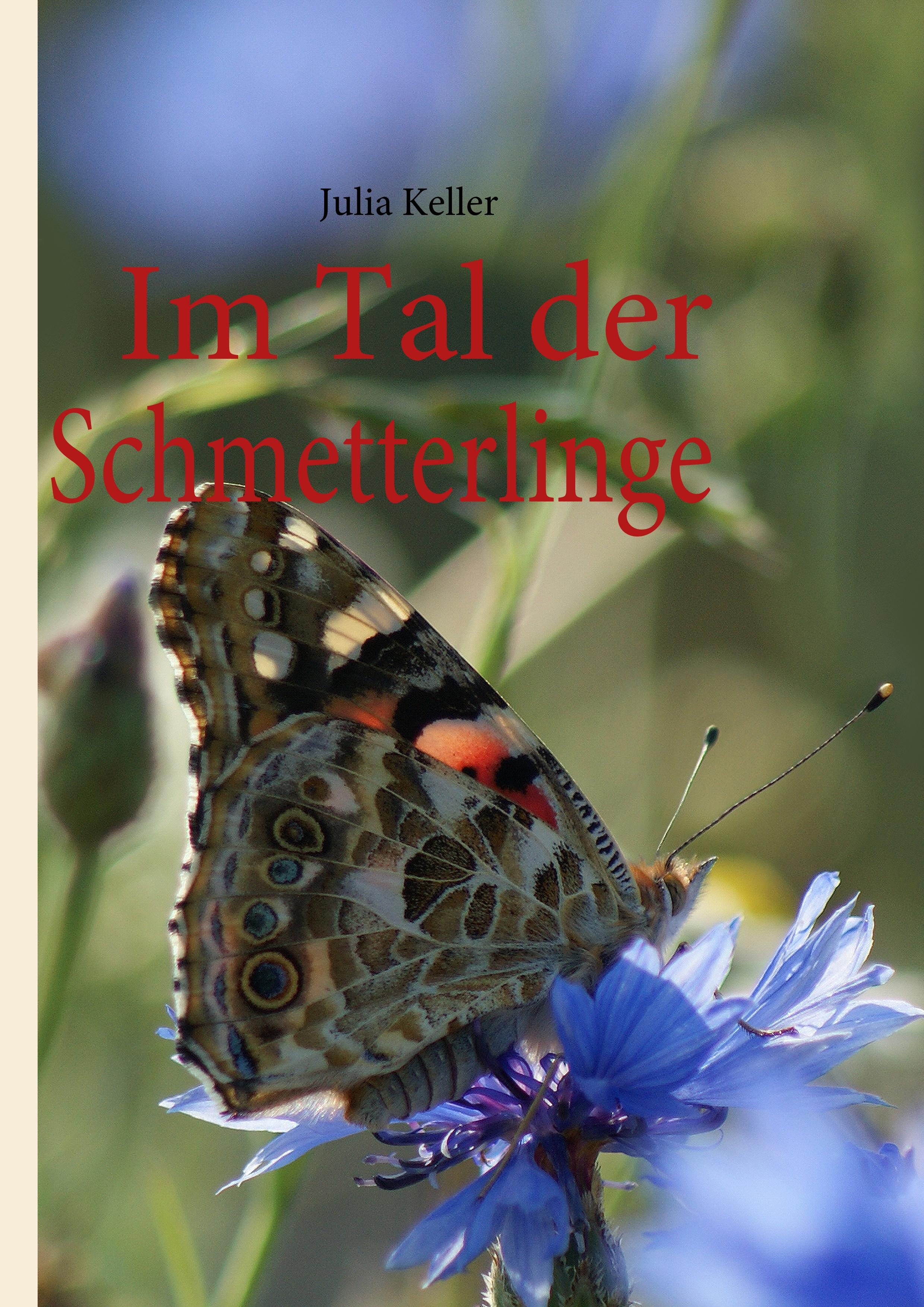 Vorderes Coverbild Im Tal der Schmetterlinge