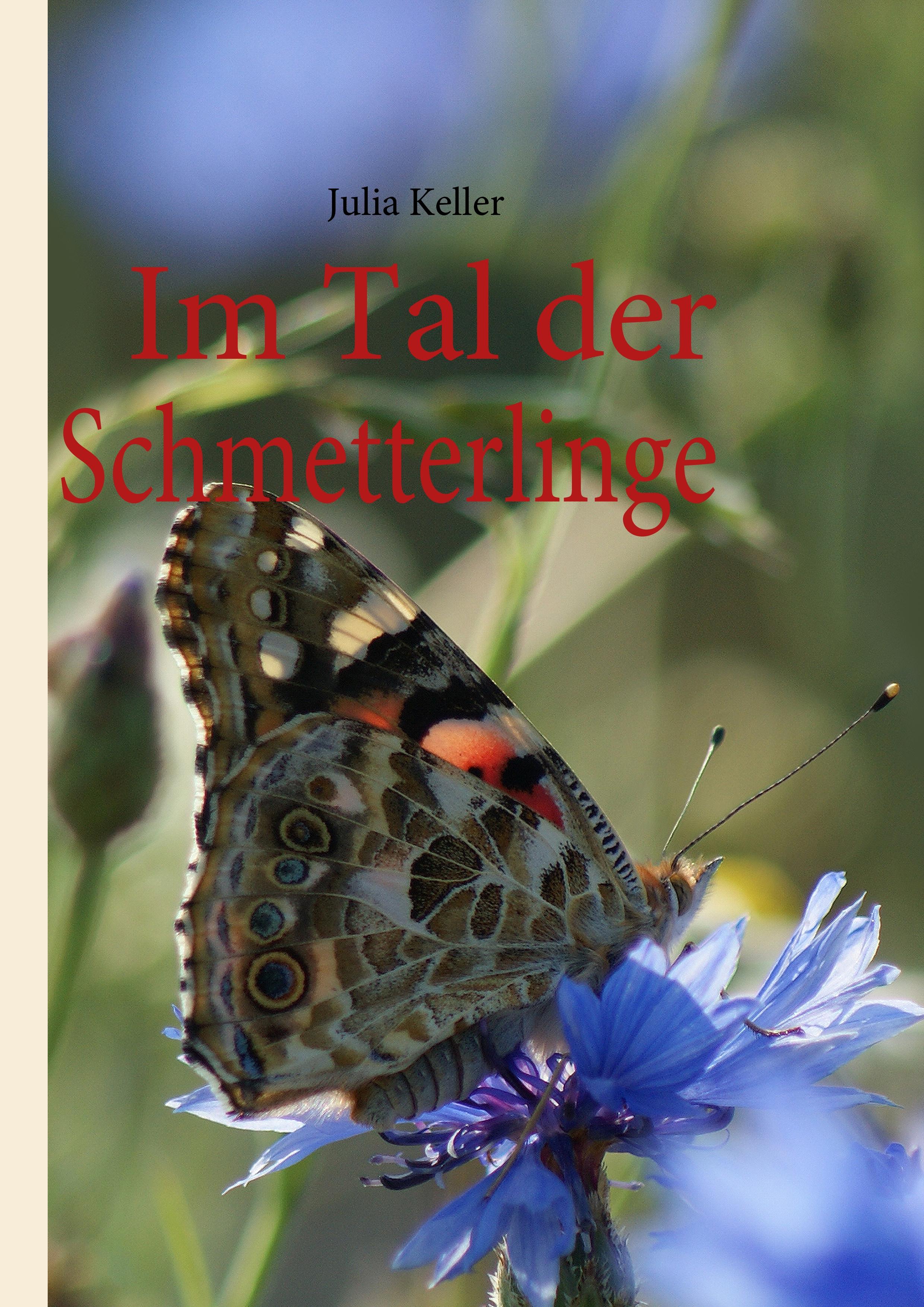 Vorderes Coverbild Im Tal der Schmetterlinge