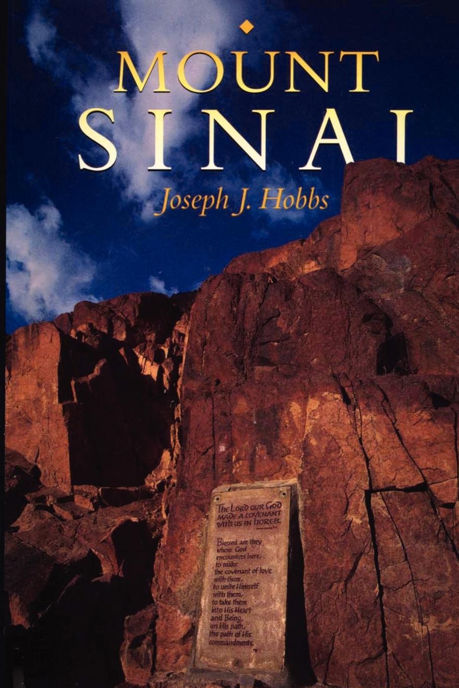 Vorderes Coverbild Mount Sinai