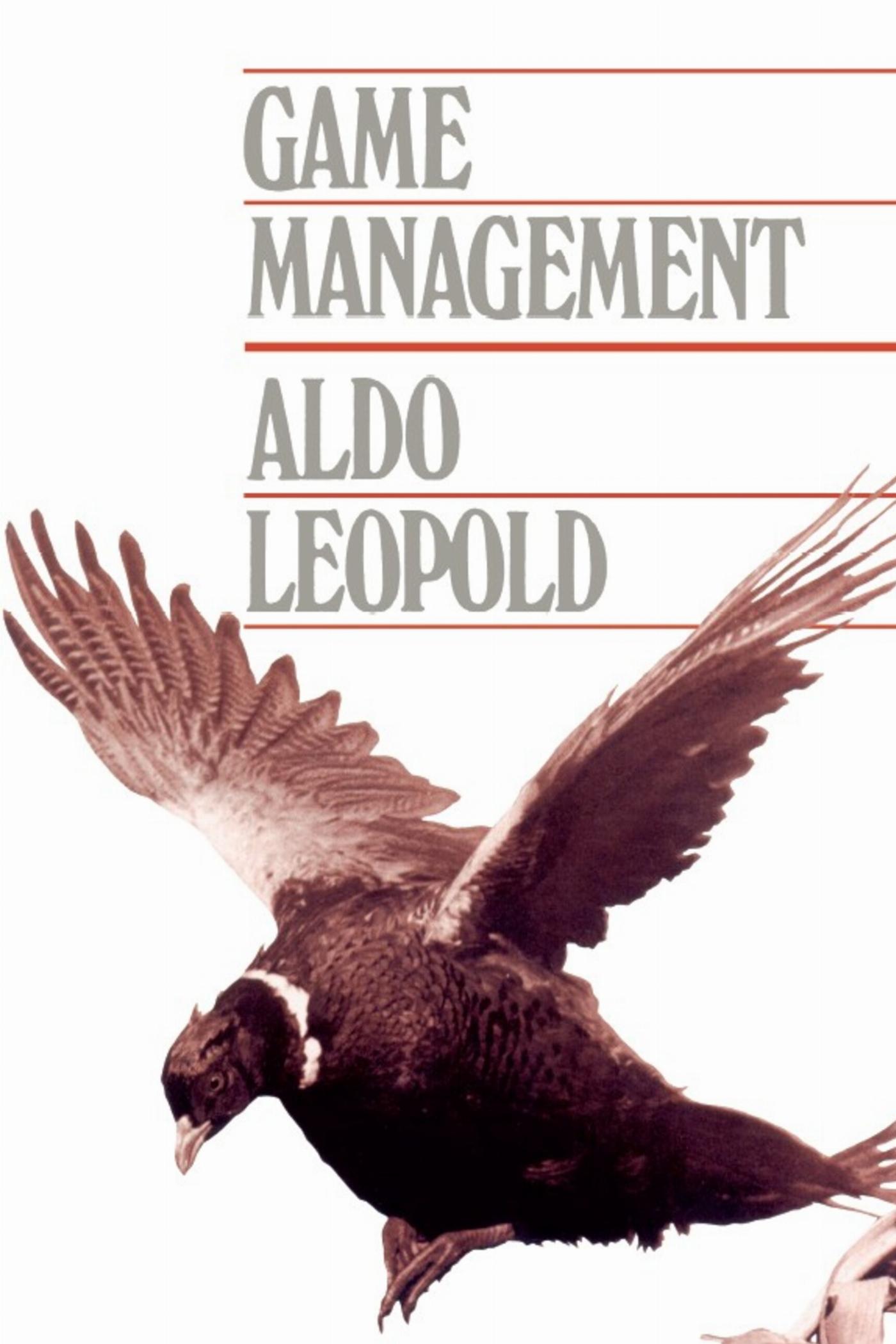 Vorderes Coverbild Game Management