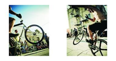 Beispielinhalt (Bild) 42x12. the Cult of Fixed