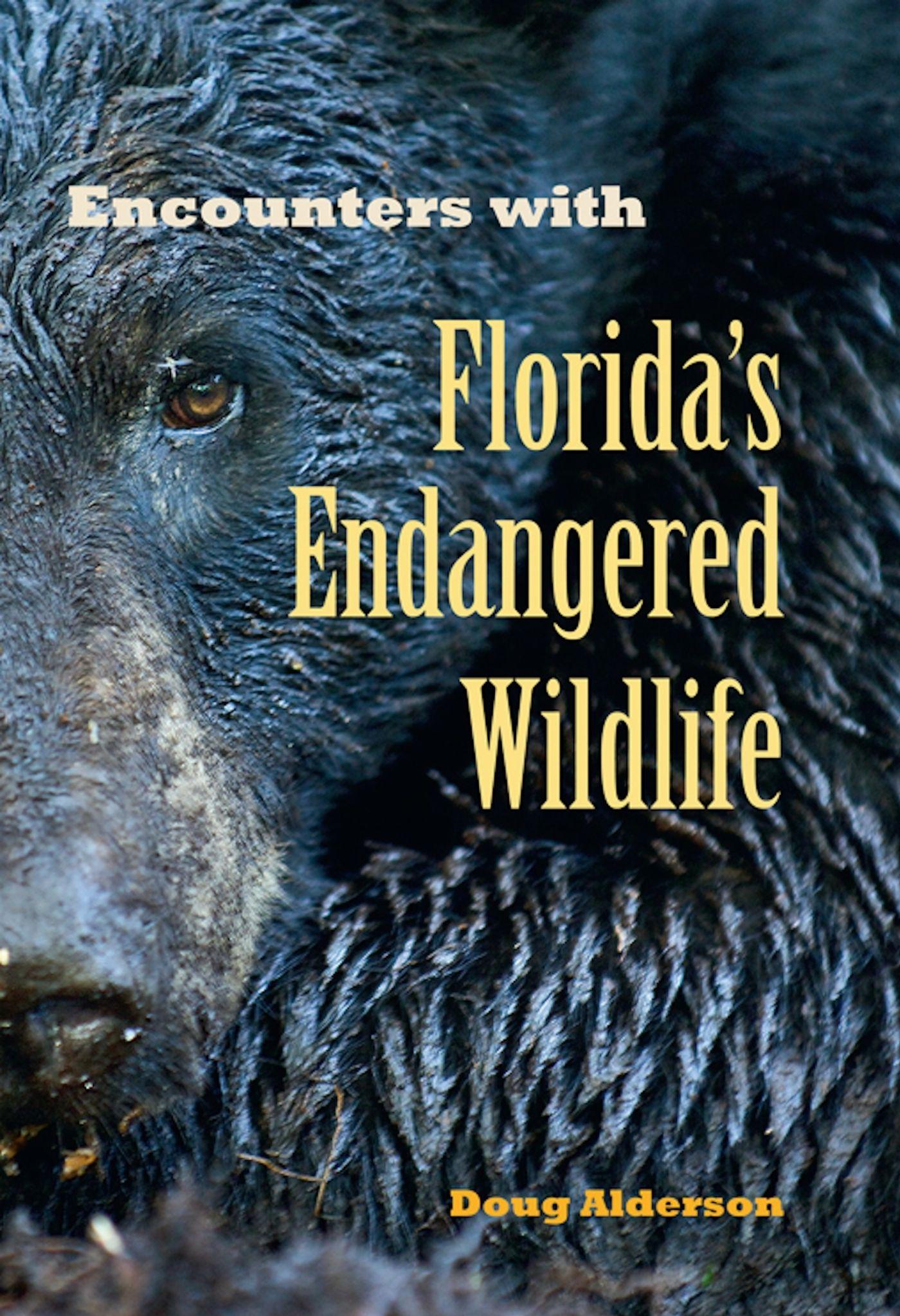 Vorderes Coverbild Encounters with Florida's Endangered Wildlife