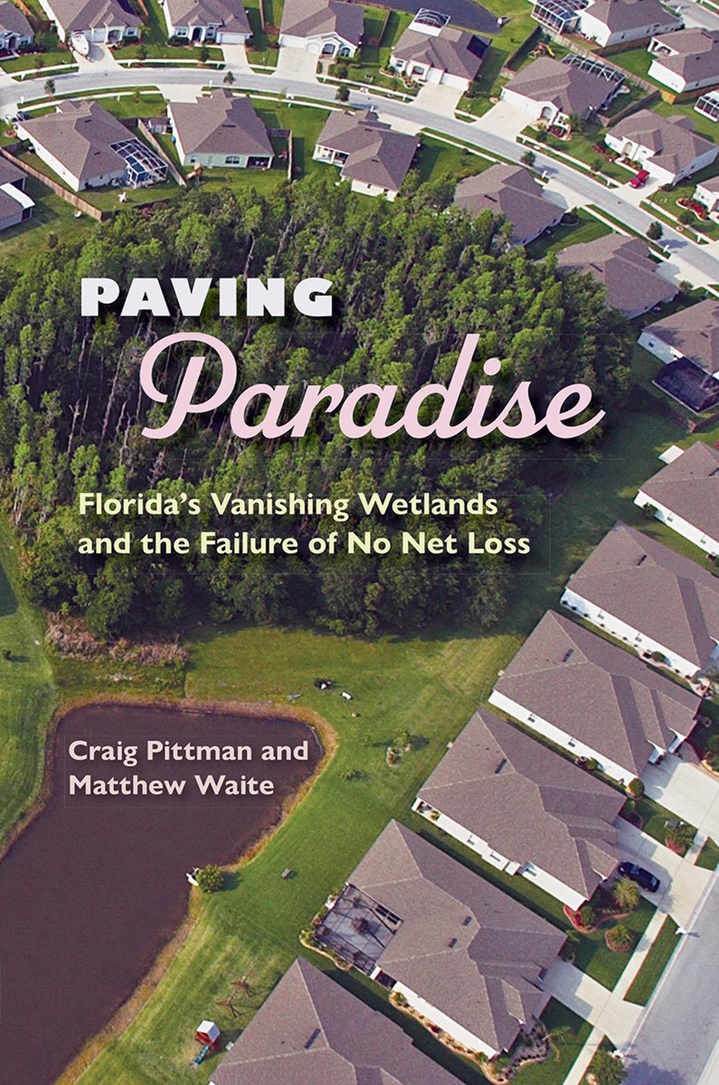 Vorderes Coverbild Paving Paradise