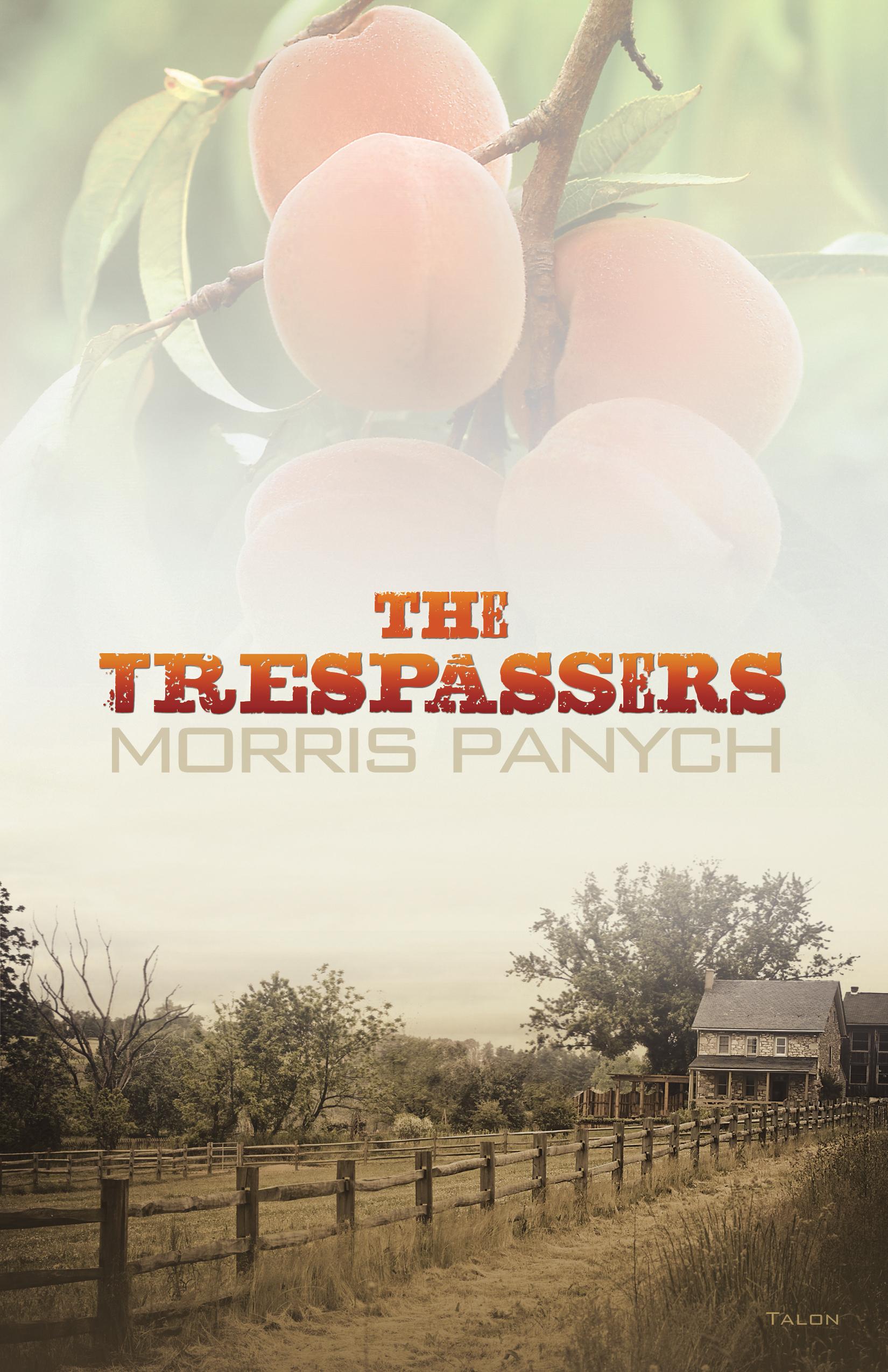 Vorderes Coverbild The Trespassers