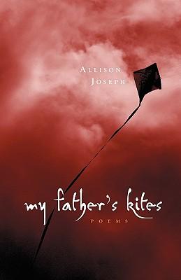 Vorderes Coverbild My Father's Kites