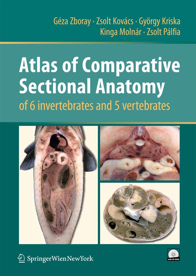 Vorderes Coverbild Atlas of Comparative Sectional Anatomy of 6 invertebrates and 5 vertebrates