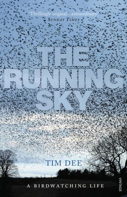 Vorderes Coverbild The Running Sky
