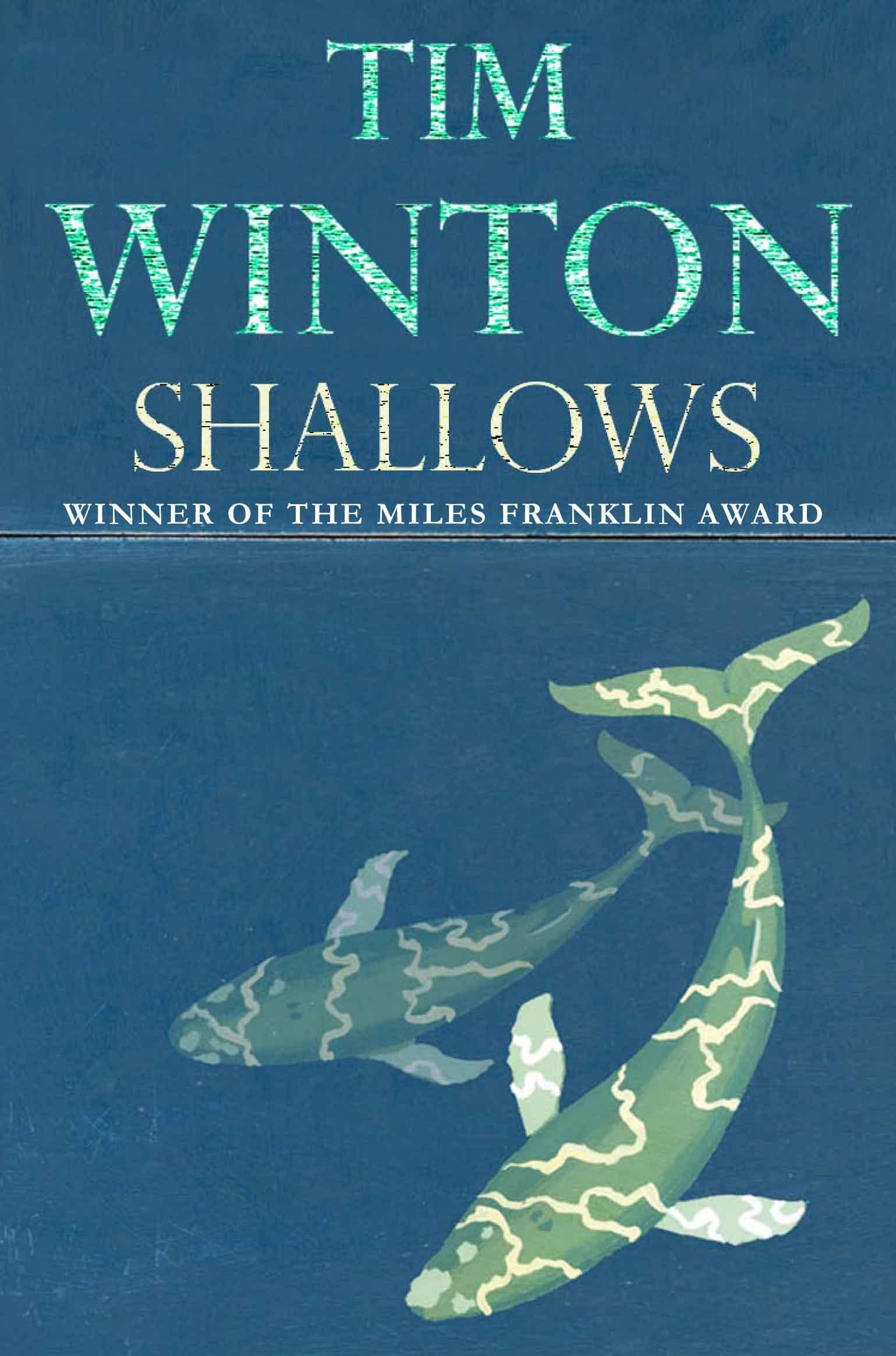 Vorderes Coverbild Shallows