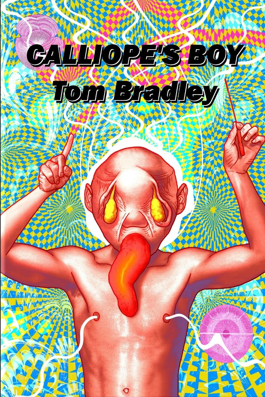 Vorderes Coverbild Calliope's Boy