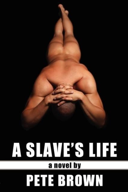 Vorderes Coverbild A Slave's Life