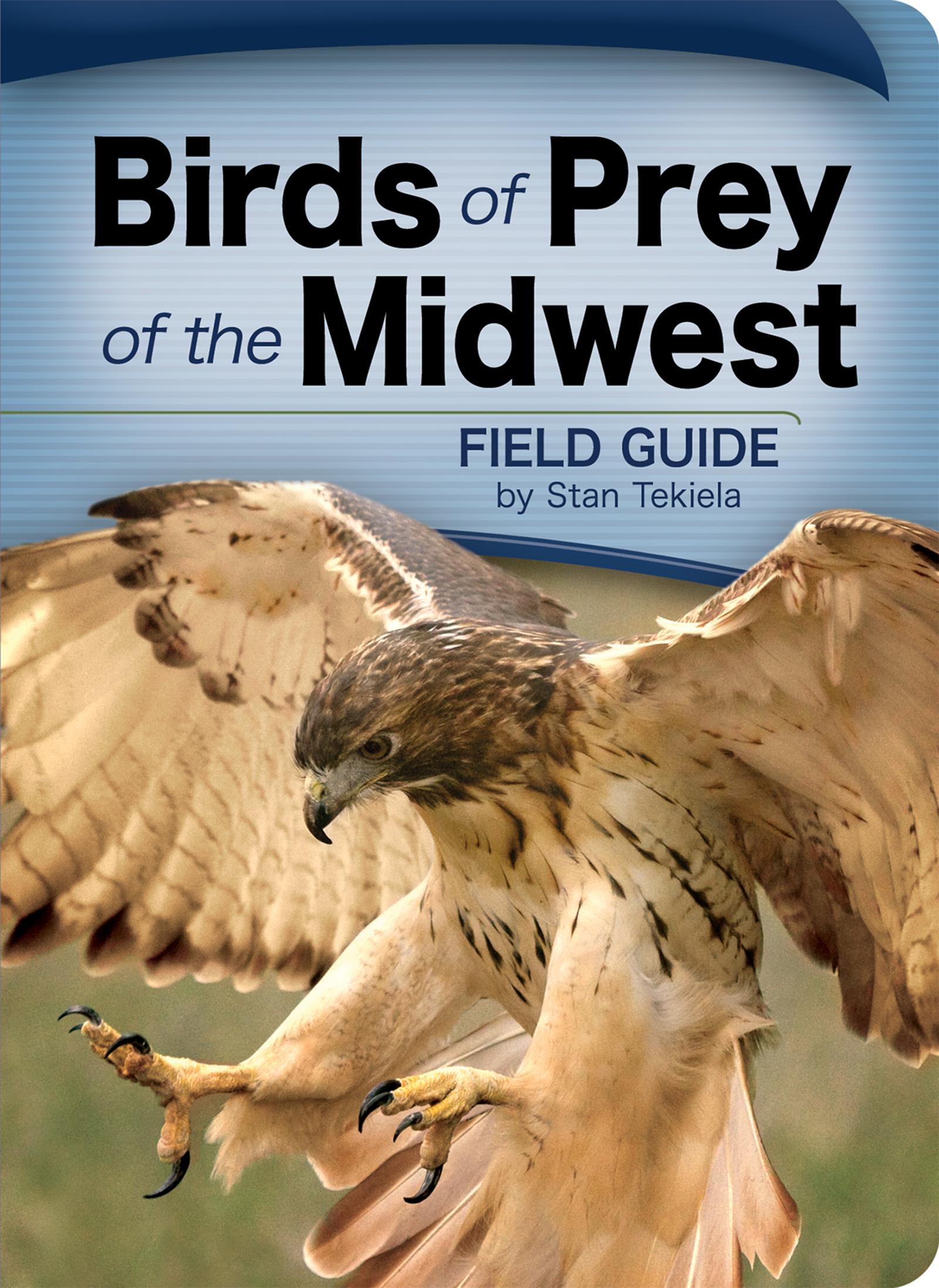 Vorderes Coverbild Birds of Prey of the Midwest