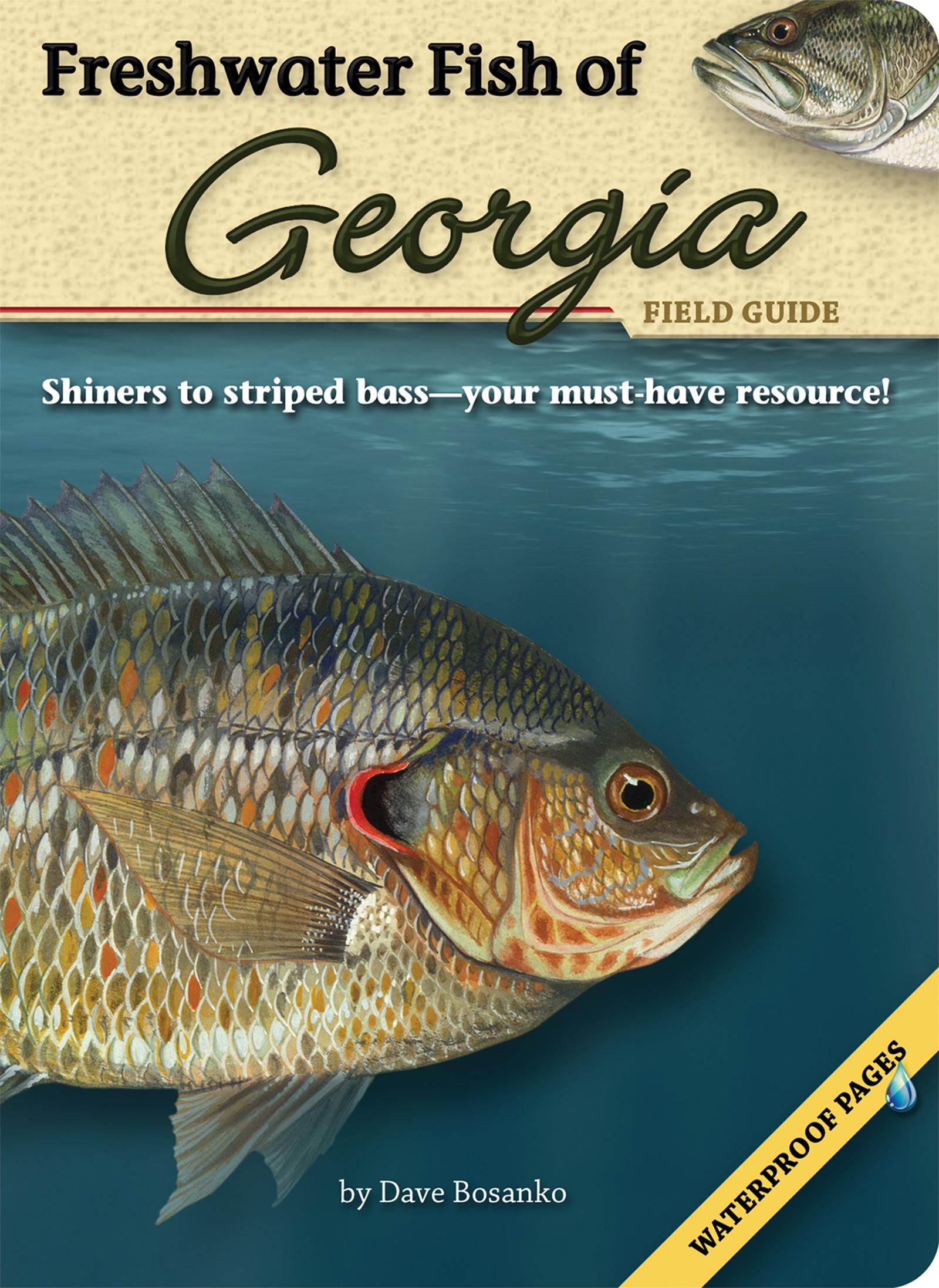 Vorderes Coverbild Freshwater Fish of Georgia Field Guide