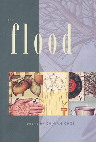 Vorderes Coverbild Flood