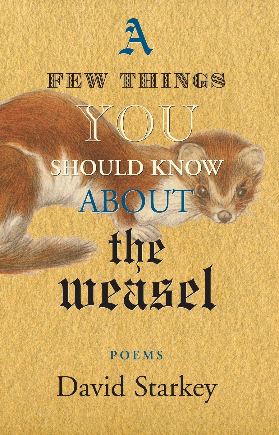 Vorderes Coverbild A Few Things You Should Know about the Weasel