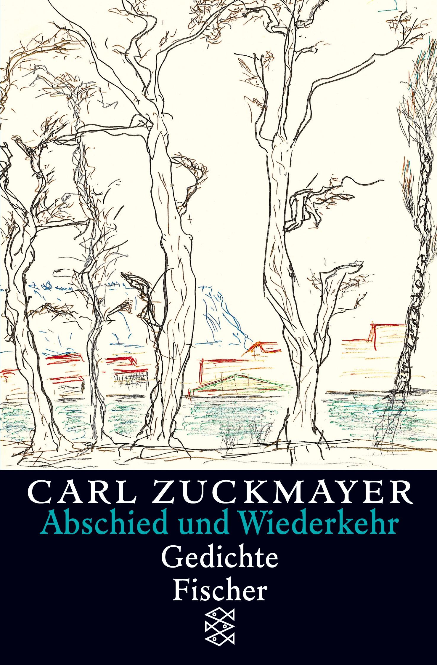 Vorderes Coverbild Abschied und Wiederkehr