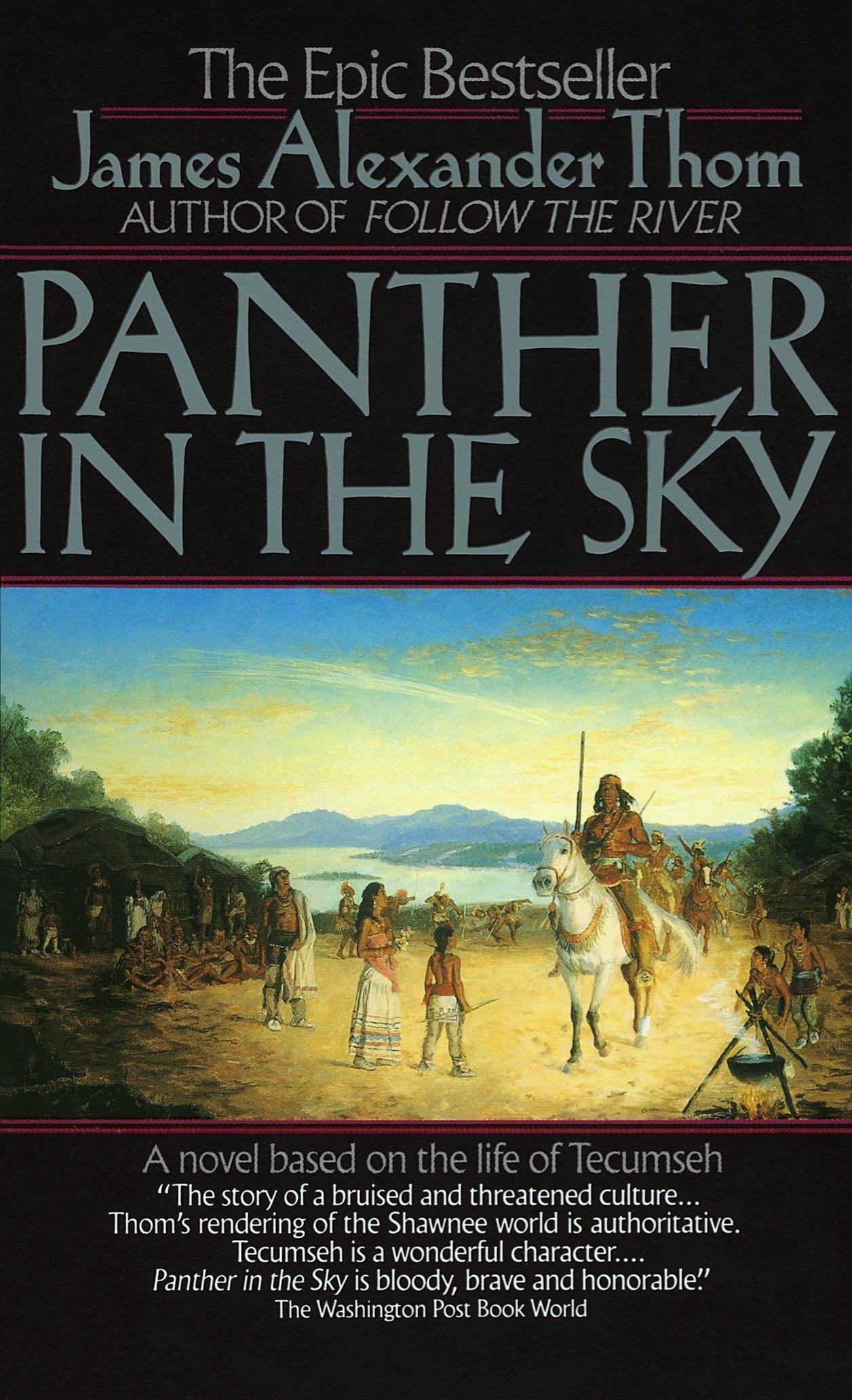 Vorderes Coverbild Panther in the Sky