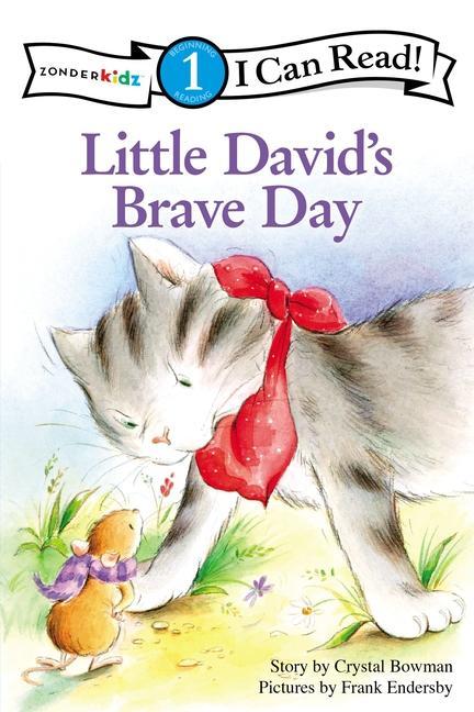 Vorderes Coverbild Little David's Brave Day