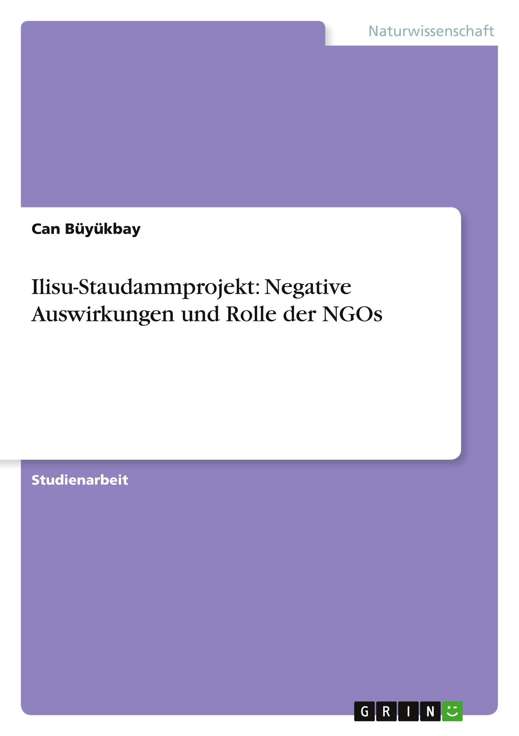 Vorderes Coverbild Ilisu-Staudammprojekt: Negative Auswirkungen und Rolle der NGOs