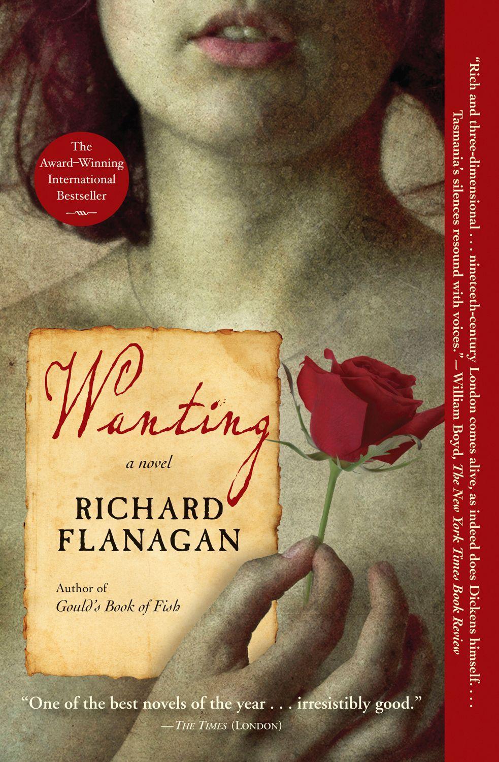 Vorderes Coverbild Wanting
