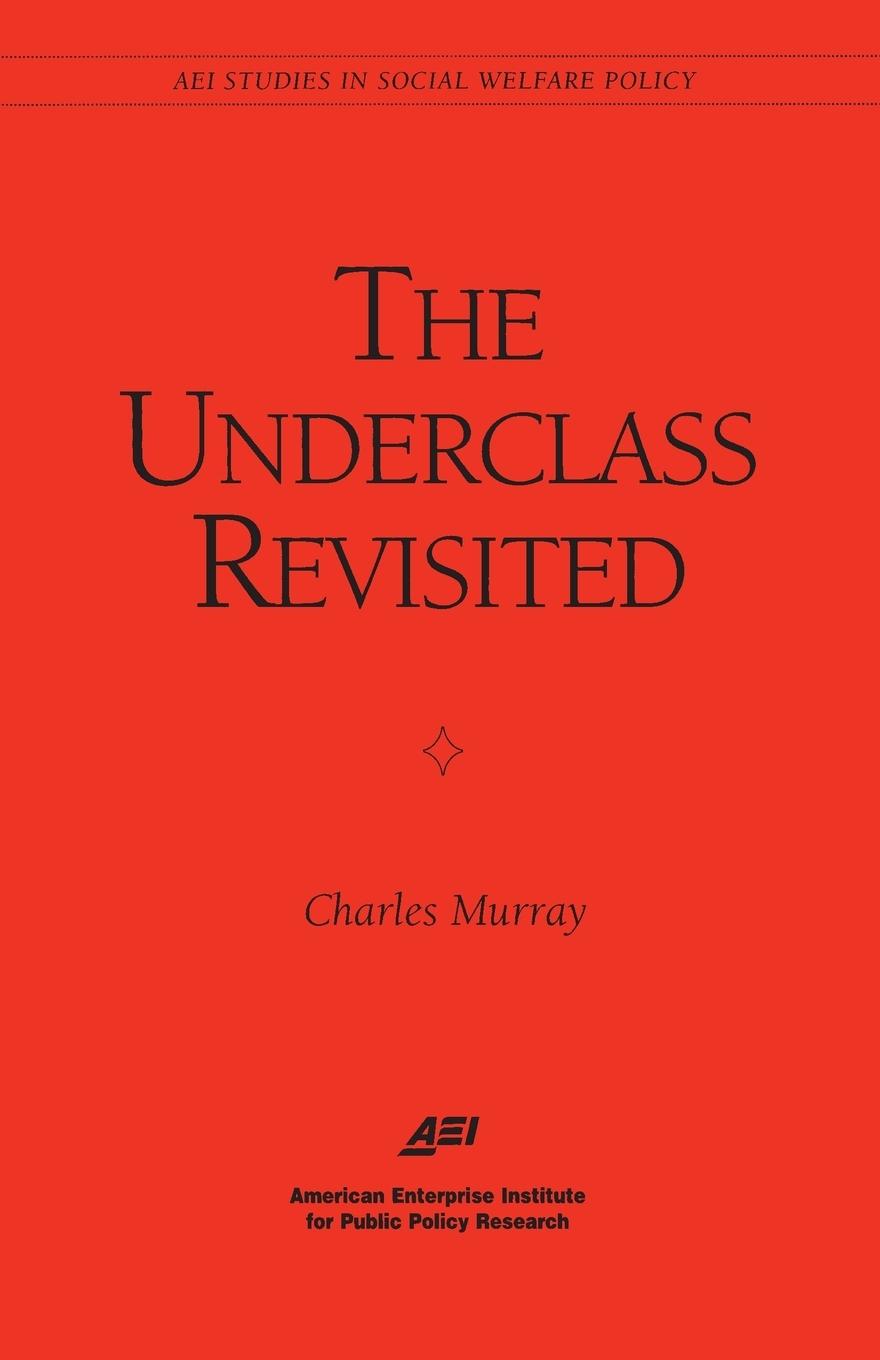 Vorderes Coverbild The Underclass Revisited