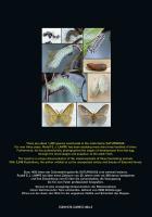 Rückseitencover Saturniidae of the World ? Pfauenspinner der Welt