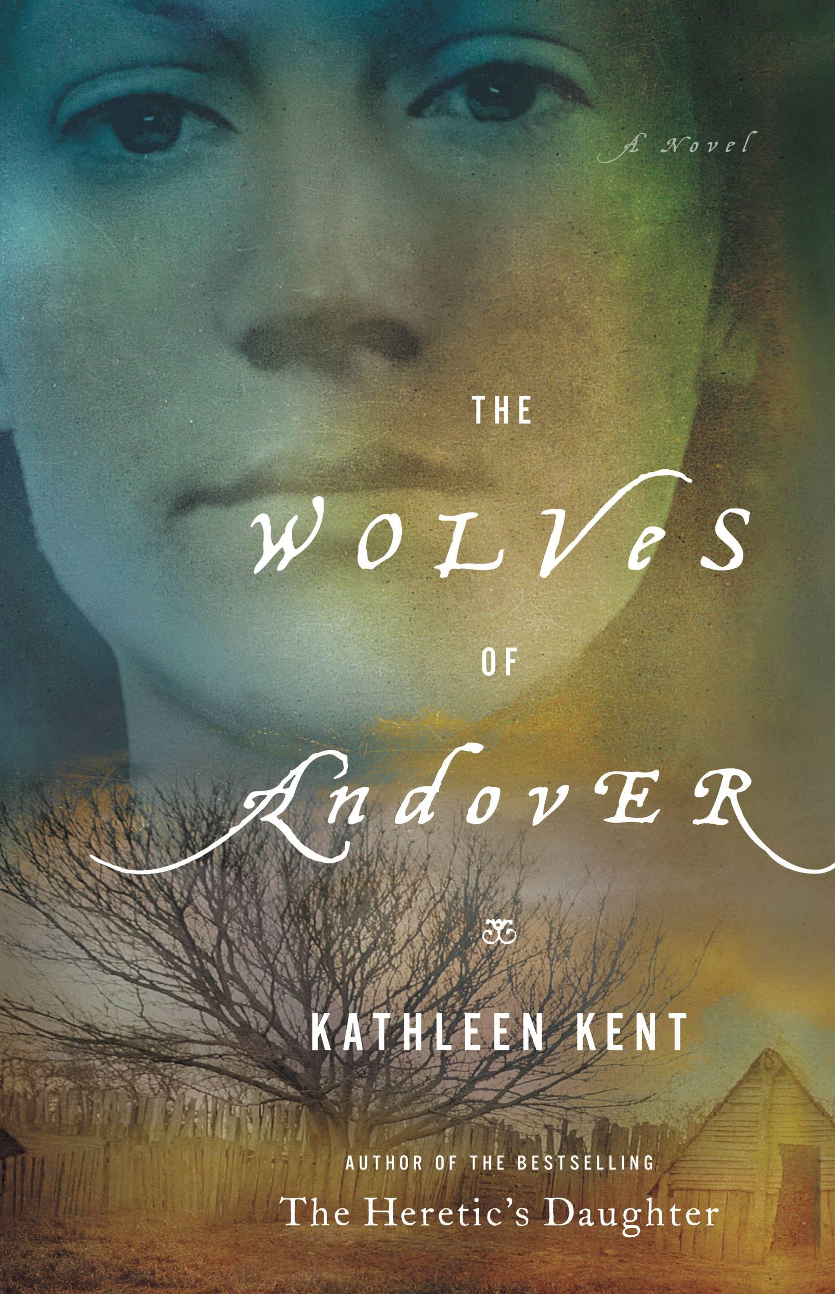 Vorderes Coverbild The Wolves of Andover