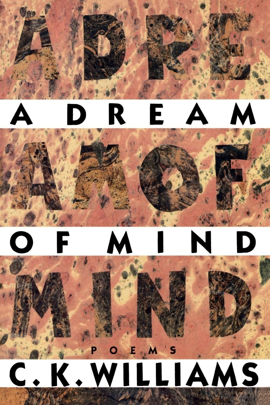 Vorderes Coverbild A Dream of Mind