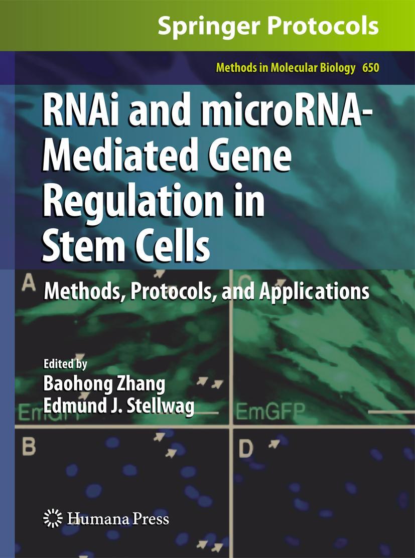 Vorderes Coverbild RNAi and microRNA-Mediated Gene Regulation in Stem Cells