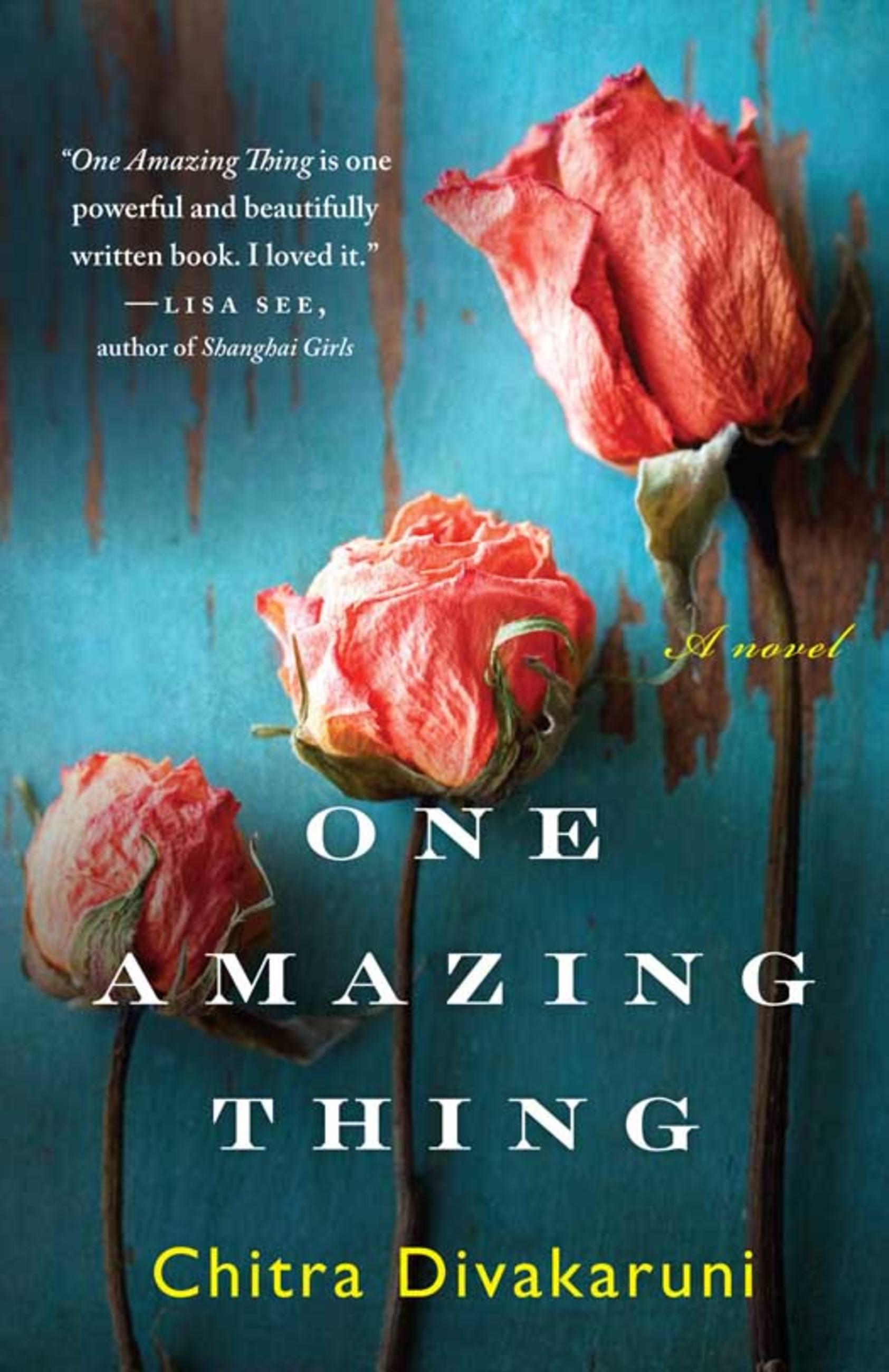 Vorderes Coverbild One Amazing Thing