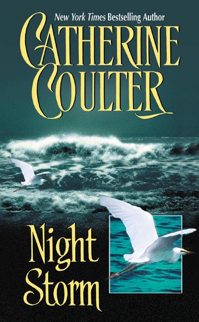 Vorderes Coverbild Night Storm