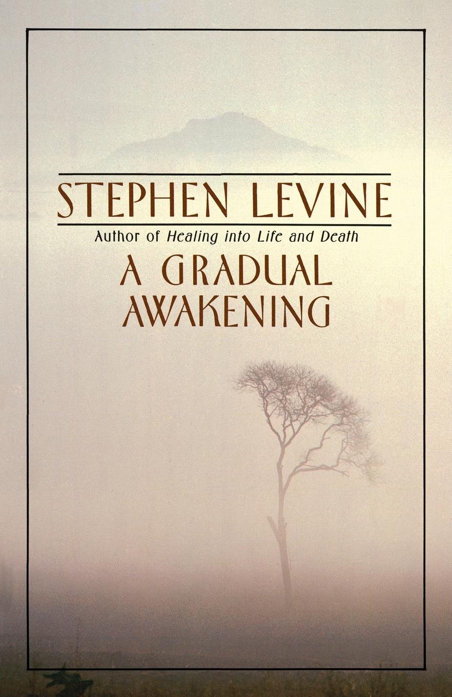 Vorderes Coverbild A Gradual Awakening