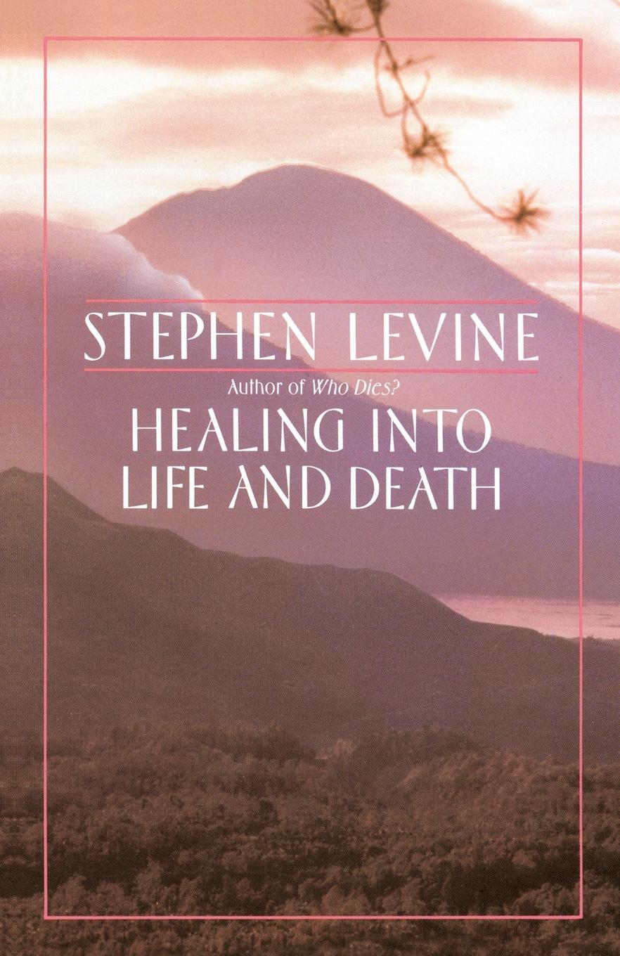 Vorderes Coverbild Healing into Life and Death