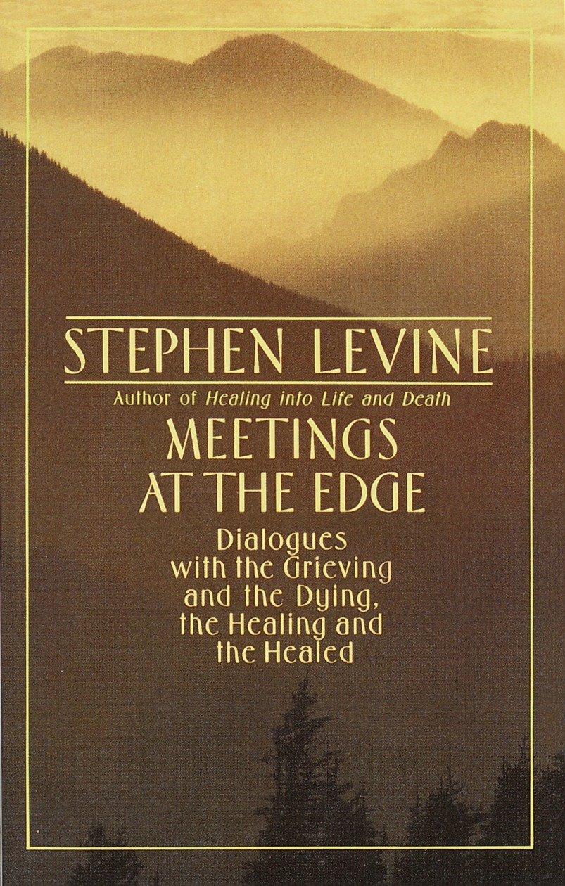 Vorderes Coverbild Meetings at the Edge