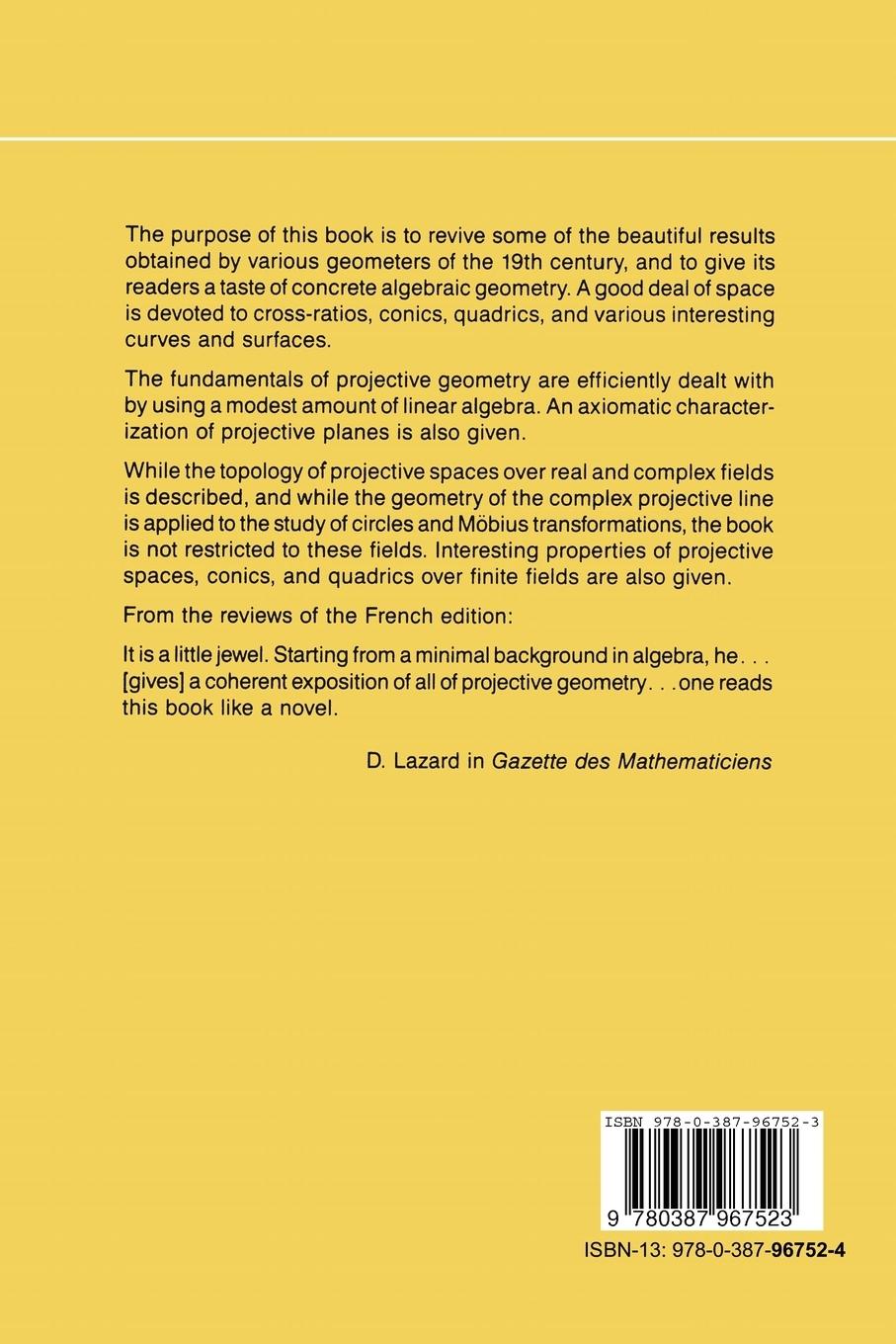 Rückseitencover Projective Geometry