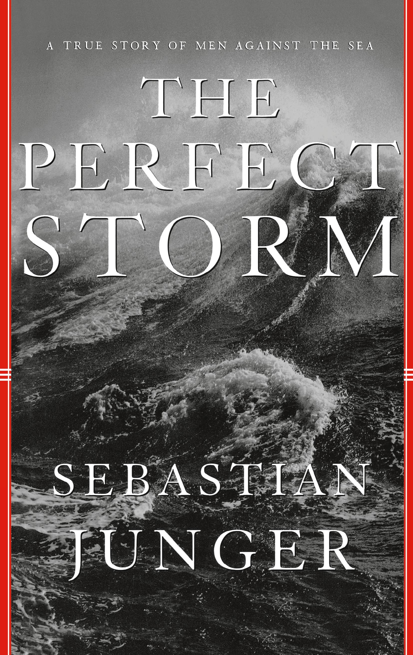 Vorderes Coverbild Perfect Storm