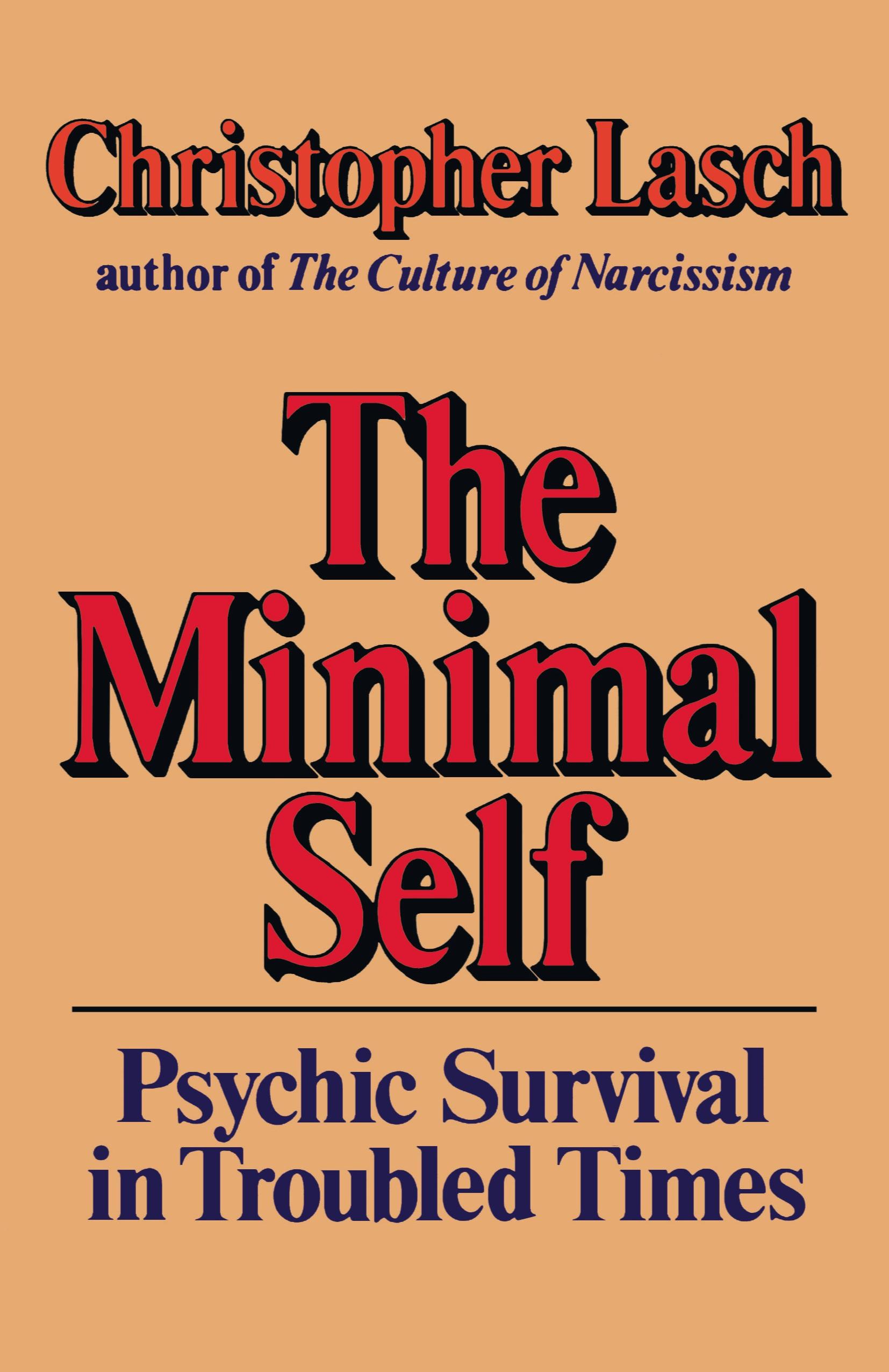 Vorderes Coverbild The Minimal Self
