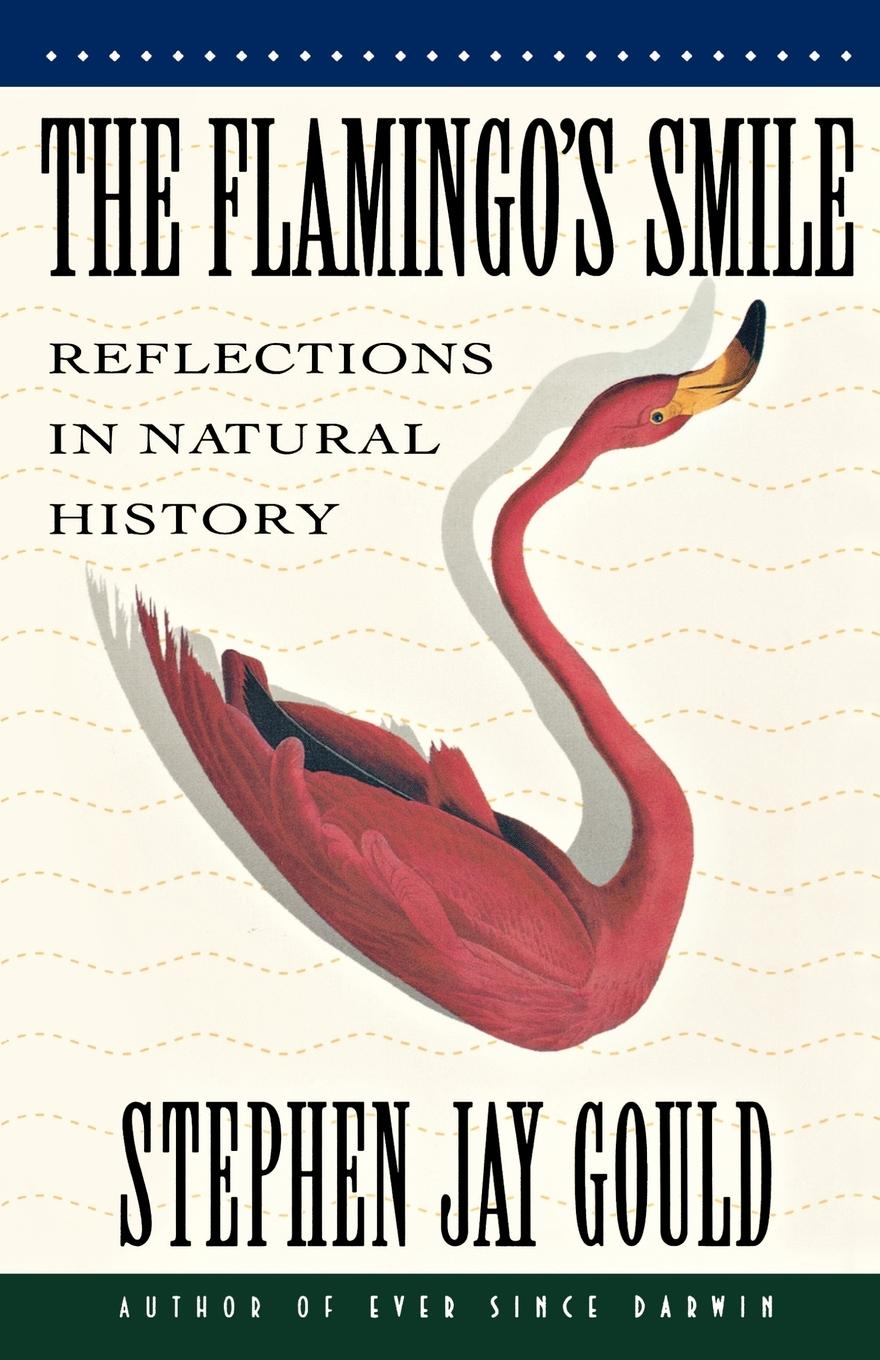 Vorderes Coverbild The Flamingo's Smile